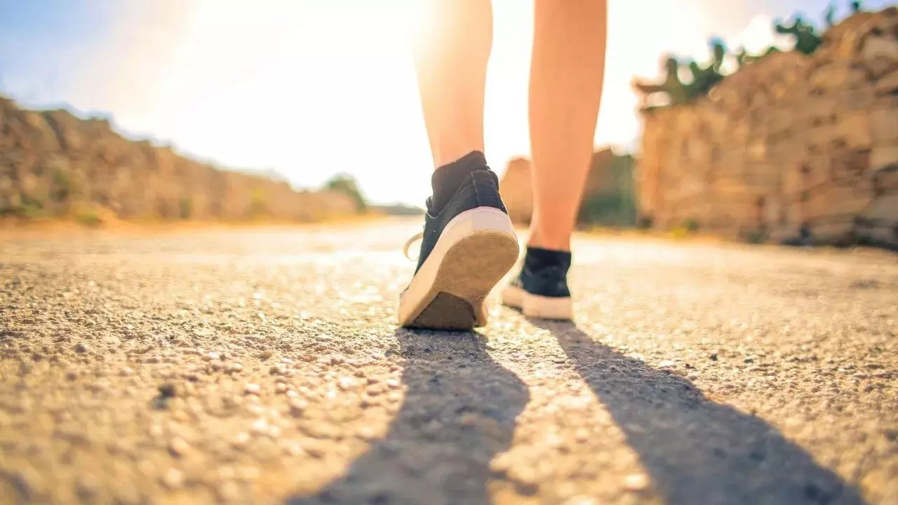 Magic 45 Minutes of Walking: జిమ్కు వెళ్లే టైమ్ లేదా..? కేవలం 45 నిమిషాల నడకతో మీ బాడీలో జరిగే మ్యాజిక్ ఇదే.. Magic 45 Minutes of Walking: జిమ్కు వెళ్లే టైమ్ లేదా..? కేవలం 45 నిమిషాల నడకతో మీ బాడీలో జరిగే మ్యాజిక్ ఇదే..