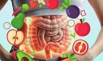 Superfoods for Better Gut Health: గట్ హెల్త్కు ఇవి సూపర్ ఫుడ్స్ Superfoods for Better Gut Health: గట్ హెల్త్కు ఇవి సూపర్ ఫుడ్స్