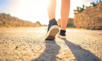 Magic 45 Minutes of Walking: జిమ్కు వెళ్లే టైమ్ లేదా..? కేవలం 45 నిమిషాల నడకతో మీ బాడీలో జరిగే మ్యాజిక్ ఇదే.. Magic 45 Minutes of Walking: జిమ్కు వెళ్లే టైమ్ లేదా..? కేవలం 45 నిమిషాల నడకతో మీ బాడీలో జరిగే మ్యాజిక్ ఇదే..