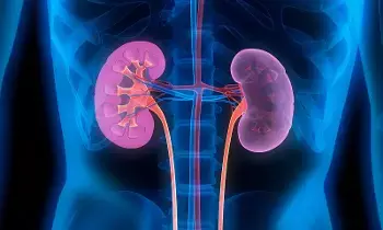 Harm Your Kidneys: అలర్ట్: మీ ఈ చిన్న తప్పులే కిడ్నీలకు శాపం.. వెంటనే ఇలా చేయండి.. Harm Your Kidneys: అలర్ట్: మీ ఈ చిన్న తప్పులే కిడ్నీలకు శాపం.. వెంటనే ఇలా చేయండి..