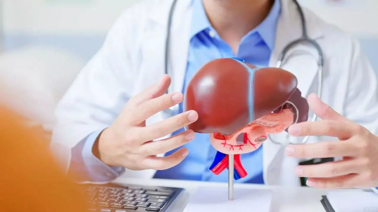 Suffering from Fatty Liver: ఫ్యాటీ లివర్ సమస్యతో బాధపడుతున్నారా? నెయ్యి, నూనె పూర్తిగా మానేయాలా? నిపుణులు ఏమంటున్నారంటే? Suffering from Fatty Liver: ఫ్యాటీ లివర్ సమస్యతో బాధపడుతున్నారా? నెయ్యి, నూనె పూర్తిగా మానేయాలా? నిపుణులు ఏమంటున్నారంటే?