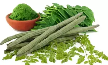 Drumstick: మునగకాయ: ఇది కేవలం కూరగాయ కాదు.. ఒక శక్తివంతమైన ఔషధం.. ఈ జాగ్రత్తలు తప్పనిసరి.. Drumstick: మునగకాయ: ఇది కేవలం కూరగాయ కాదు.. ఒక శక్తివంతమైన ఔషధం.. ఈ జాగ్రత్తలు తప్పనిసరి..