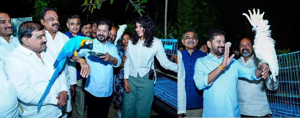 A. Revanth Reddy: మూసీ నది పరిసరాల్లో నైట్ టూరిజం అభివృద్ధి: సీఎం రేవంత్ రెడ్డి ప్రకటన A. Revanth Reddy: మూసీ నది పరిసరాల్లో నైట్ టూరిజం అభివృద్ధి: సీఎం రేవంత్ రెడ్డి ప్రకటన
