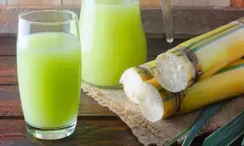 Summer Dehydration Risk: వేసవిలో డీహైడ్రేషన్ ముప్పు.. బాడీని చల్లబరిచి, తక్షణ శక్తినిచ్చే అద్భుతమైన డ్రింక్స్ ఇవే.. Summer Dehydration Risk: వేసవిలో డీహైడ్రేషన్ ముప్పు.. బాడీని చల్లబరిచి, తక్షణ శక్తినిచ్చే అద్భుతమైన డ్రింక్స్ ఇవే..