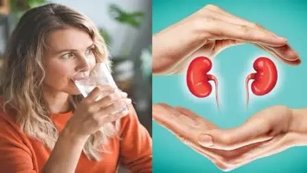 Risk of Kidney Disease: నీళ్లు ఎక్కువగా తాగితే కిడ్నీ వ్యాధులు తగ్గుతాయా? Risk of Kidney Disease: నీళ్లు ఎక్కువగా తాగితే కిడ్నీ వ్యాధులు తగ్గుతాయా?