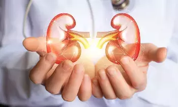 Kidney Health: కిడ్నీల ఆరోగ్యం మీ చేతుల్లోనే.. నిపుణులు సూచిస్తున్న 6 కీలక అలవాట్లు.. Kidney Health: కిడ్నీల ఆరోగ్యం మీ చేతుల్లోనే.. నిపుణులు సూచిస్తున్న 6 కీలక అలవాట్లు..