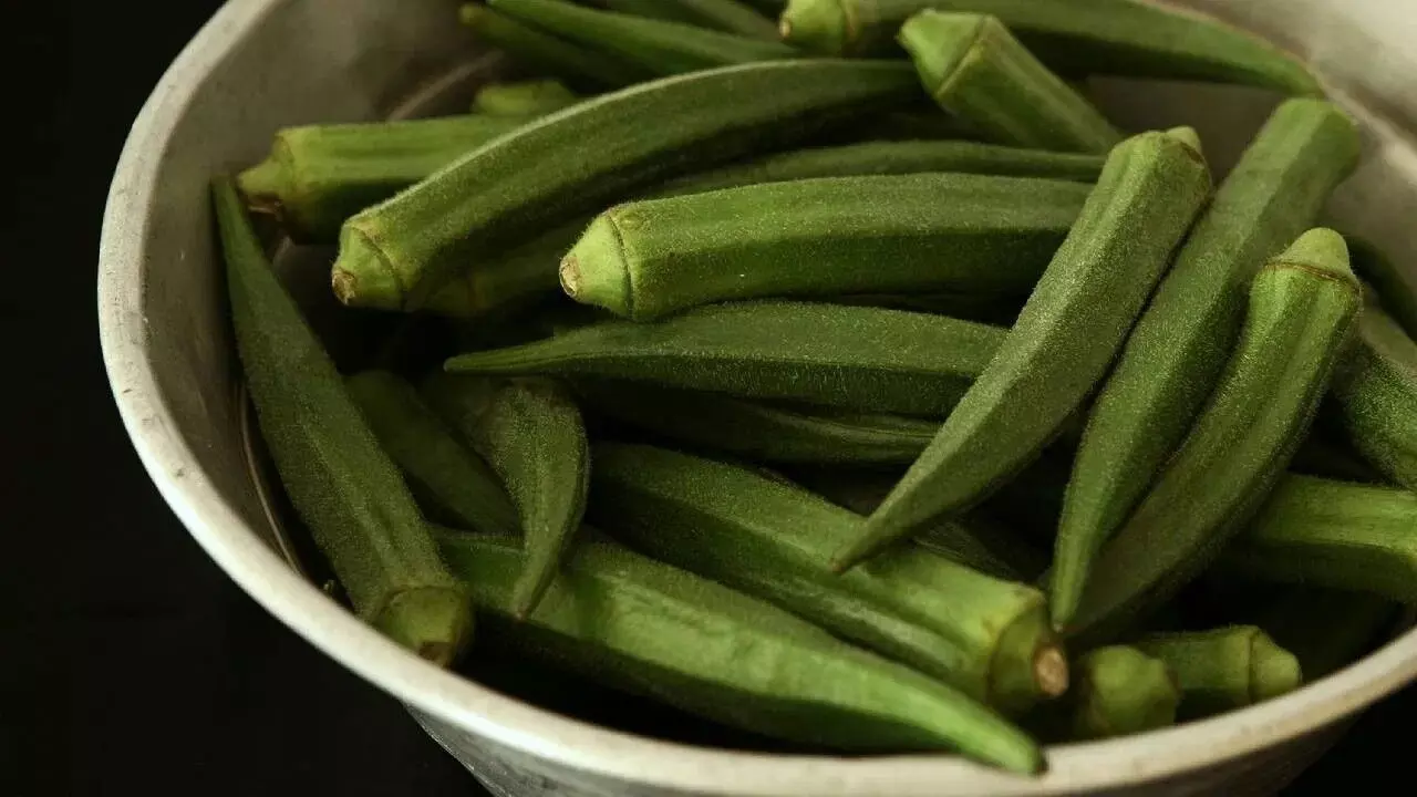 Mixing Okra: జాగ్రత్త.. బెండకాయతో ఈ కూరగాయలను కలిపి తింటున్నారా? ప్రయోజనం కంటే కీడే ఎక్కువ.. Mixing Okra: జాగ్రత్త.. బెండకాయతో ఈ కూరగాయలను కలిపి తింటున్నారా? ప్రయోజనం కంటే కీడే ఎక్కువ..