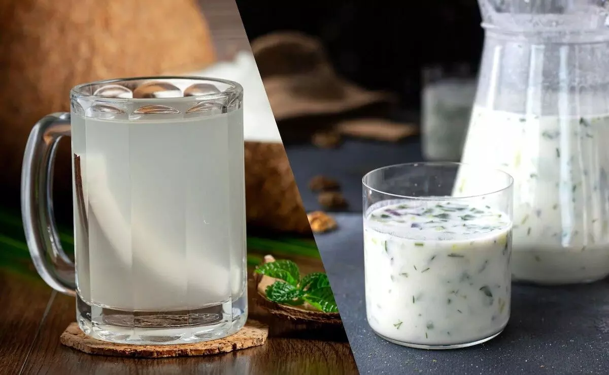 Coconut Water vs Buttermilk: కొబ్బరి నీళ్లు vs మజ్జిగ: ఈ వేసవిలో డీహైడ్రేషన్ను తరిమికొట్టే బెస్ట్ డ్రింక్ ఏది..? Coconut Water vs Buttermilk: కొబ్బరి నీళ్లు vs మజ్జిగ: ఈ వేసవిలో డీహైడ్రేషన్ను తరిమికొట్టే బెస్ట్ డ్రింక్ ఏది..?