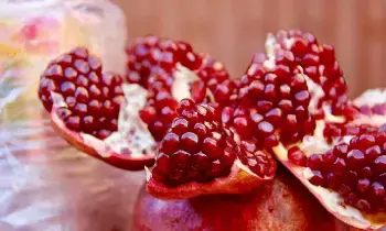 Eat One Pomegranate Daily: ప్రతిరోజూ ఒక దానిమ్మపండు తింటే.. ఈ 8 అద్భుత మార్పులు మీ సొంతం.. Eat One Pomegranate Daily: ప్రతిరోజూ ఒక దానిమ్మపండు తింటే.. ఈ 8 అద్భుత మార్పులు మీ సొంతం..