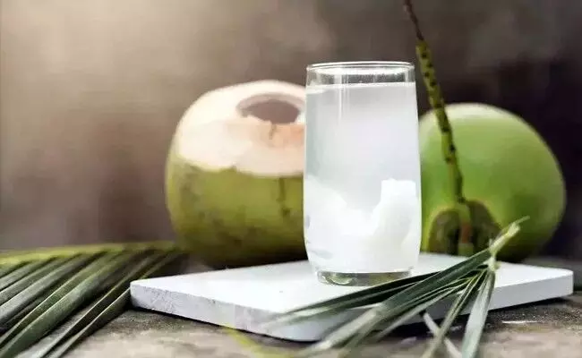 Drinking Too Much Coconut Water: కొబ్బరి నీళ్లు అతిగా తాగుతున్నారా? అయితే జాగ్రత్త.. అమృతం లాంటి నీరు కూడా విషంగా మారే ప్రమాదం.. Drinking Too Much Coconut Water: కొబ్బరి నీళ్లు అతిగా తాగుతున్నారా? అయితే జాగ్రత్త.. అమృతం లాంటి నీరు కూడా విషంగా మారే ప్రమాదం..