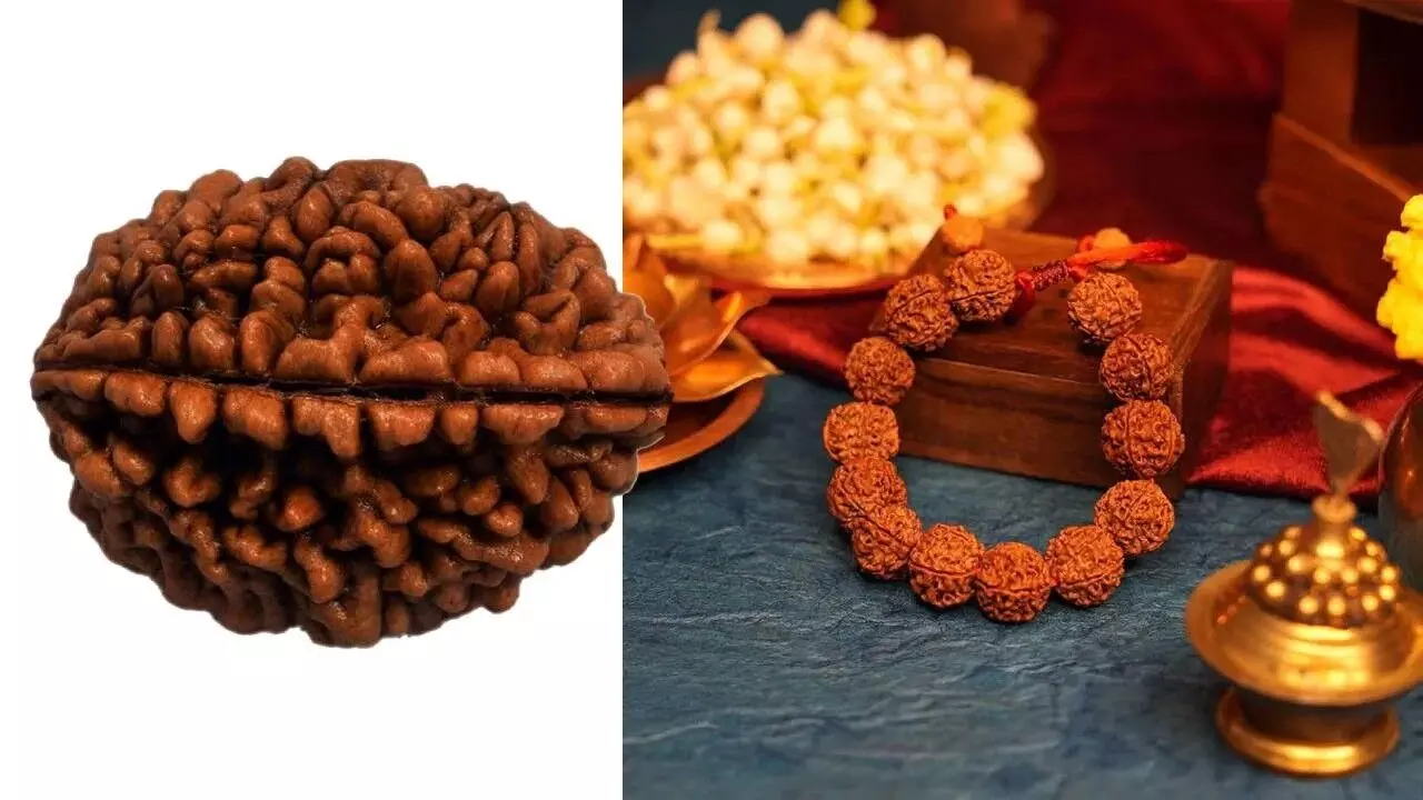 Ekamukhi Rudraksha for Sun Dosha Relief: ఏకముఖ రుద్రాక్షతో సూర్యగ్రహ దోషాలకు చెక్.. కానీ కొనేముందు జాగ్రత్త.. అసలైనదా కాదా అని ఇలా గుర్తించండి.. Ekamukhi Rudraksha for Sun Dosha Relief: ఏకముఖ రుద్రాక్షతో సూర్యగ్రహ దోషాలకు చెక్.. కానీ కొనేముందు జాగ్రత్త.. అసలైనదా కాదా అని ఇలా గుర్తించండి..