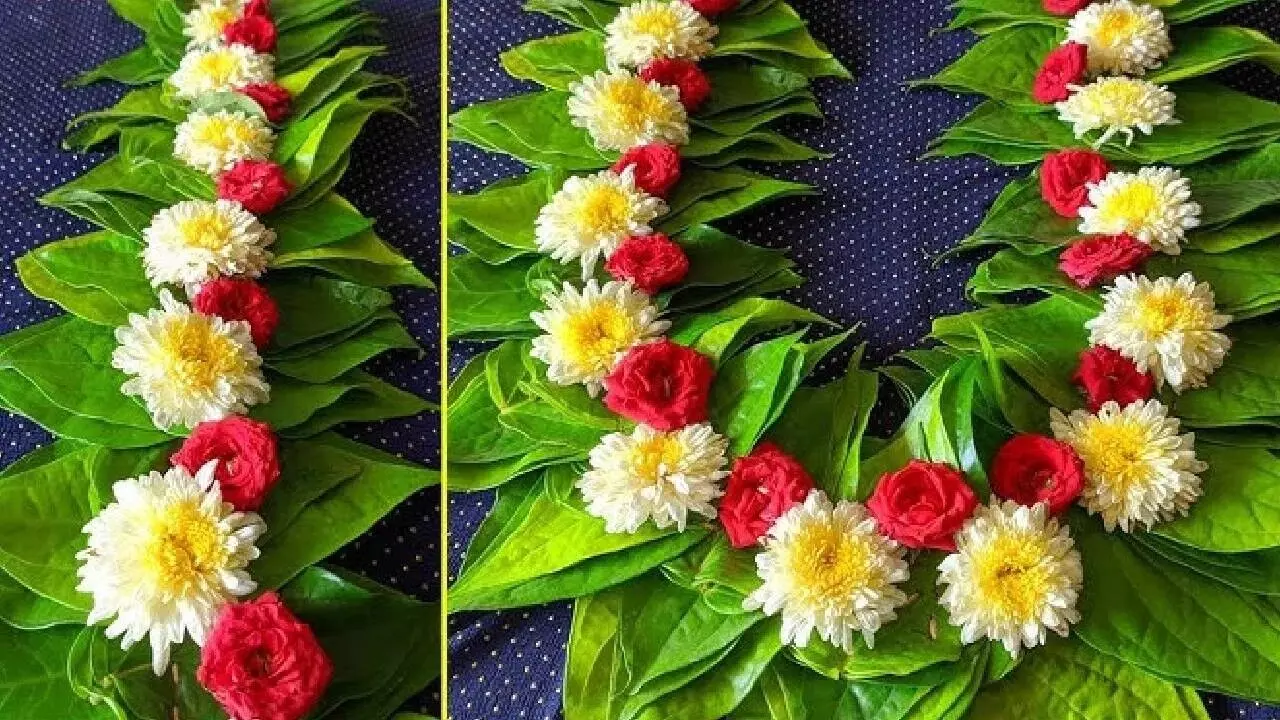Goddess Durga Worship with Betel Leaf Garland: దుర్గాదేవికి తమలపాకుల దండ: 9 మంగళవారాలు ఇలా చేస్తే మీ కష్టాలన్నీ పటాపంచలే.. Goddess Durga Worship with Betel Leaf Garland: దుర్గాదేవికి తమలపాకుల దండ: 9 మంగళవారాలు ఇలా చేస్తే మీ కష్టాలన్నీ పటాపంచలే..