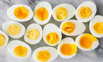 Egg Benefits:  ఎగ్ బెనిఫిట్స్: రోజుకు ఒక గుడ్డు.. రోగాలకు చెక్ పెట్టండిలా!