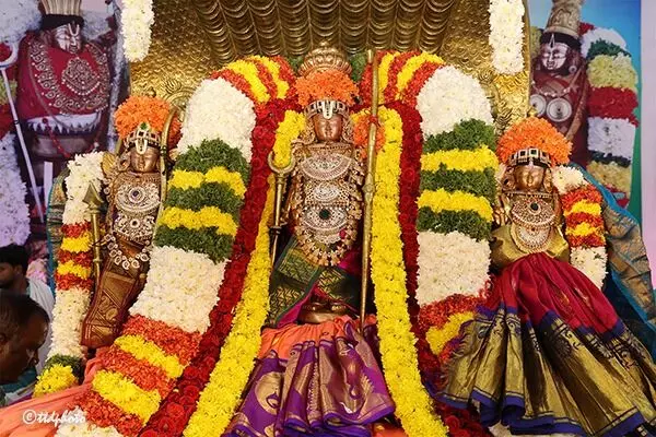 Sri Kodandarama Swamys annual Brahmotsavam in Ontimitta: శేషవాహనంపై శ్రీ సీతా లక్ష్మణ సమేత రఘురాముడు Sri Kodandarama Swamys annual Brahmotsavam in Ontimitta: శేషవాహనంపై శ్రీ సీతా లక్ష్మణ సమేత రఘురాముడు