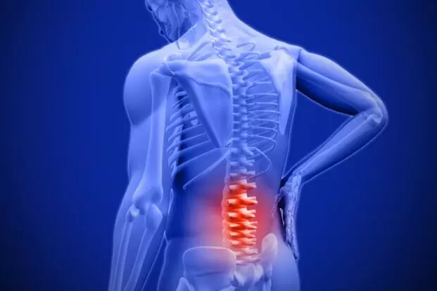 Bone Pain at a Young Age: యవ్వనంలోనే ఎముకల నొప్పులా? కేవలం కాల్షియం ఉంటే సరిపోదు.. ఈ పోషకాలు కూడా ఉండాల్సిందే.. Bone Pain at a Young Age: యవ్వనంలోనే ఎముకల నొప్పులా? కేవలం కాల్షియం ఉంటే సరిపోదు.. ఈ పోషకాలు కూడా ఉండాల్సిందే..