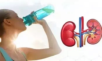 Summer Heat Affects Kidneys: కిడ్నీలపై ఎండ ప్రభావం ఎలా ఉంటుంది? Summer Heat Affects Kidneys: కిడ్నీలపై ఎండ ప్రభావం ఎలా ఉంటుంది?