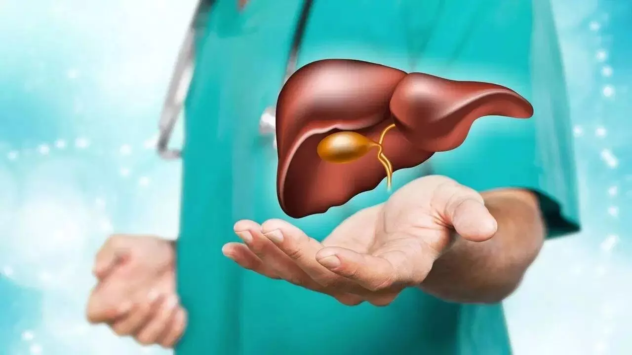 Liver at Risk: మీ కాలేయం ప్రమాదంలో ఉందా? ఆరోగ్యంగా ఉండాలంటే వీటికి దూరంగా ఉండండి Liver at Risk: మీ కాలేయం ప్రమాదంలో ఉందా? ఆరోగ్యంగా ఉండాలంటే వీటికి దూరంగా ఉండండి