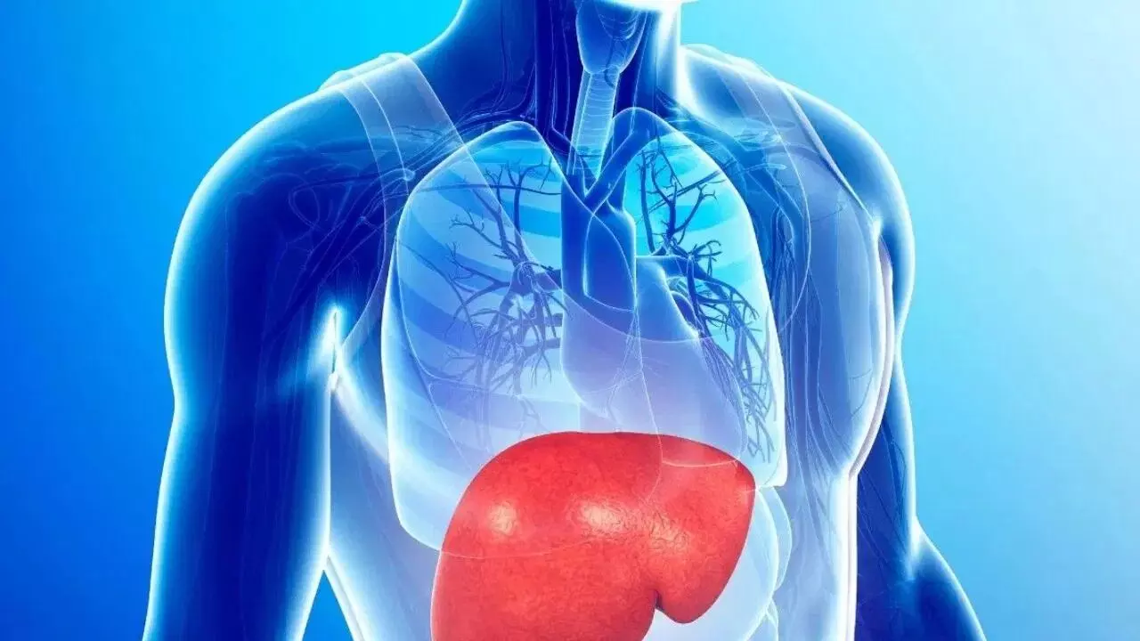 Fatty Liver Disease: ఫ్యాటీ లివర్ ఎప్పుడు ప్రమాదకరంగా మారుతుందో తెలుసా? ఈ లక్షణాలను అస్సలు నిర్లక్ష్యం చేయకండి.. Fatty Liver Disease: ఫ్యాటీ లివర్ ఎప్పుడు ప్రమాదకరంగా మారుతుందో తెలుసా? ఈ లక్షణాలను అస్సలు నిర్లక్ష్యం చేయకండి..