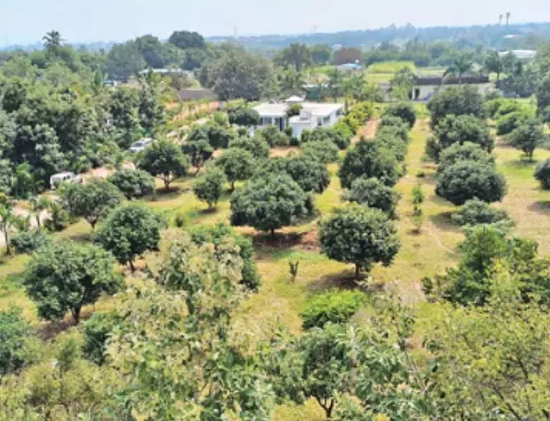 Assigned Lands in Aziznagar: అజీజ్నగర్లో ఎసైన్డ్ భూముల అనధికార అమ్మకాలు.. ప్రభుత్వ ఆస్తి పెద్దల చేతుల్లో! Assigned Lands in Aziznagar: అజీజ్నగర్లో ఎసైన్డ్ భూముల అనధికార అమ్మకాలు.. ప్రభుత్వ ఆస్తి పెద్దల చేతుల్లో!