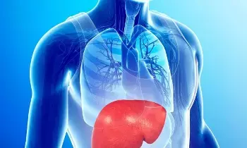 Fatty Liver Disease: ఫ్యాటీ లివర్ ఎప్పుడు ప్రమాదకరంగా మారుతుందో తెలుసా? ఈ లక్షణాలను అస్సలు నిర్లక్ష్యం చేయకండి.. Fatty Liver Disease: ఫ్యాటీ లివర్ ఎప్పుడు ప్రమాదకరంగా మారుతుందో తెలుసా? ఈ లక్షణాలను అస్సలు నిర్లక్ష్యం చేయకండి..