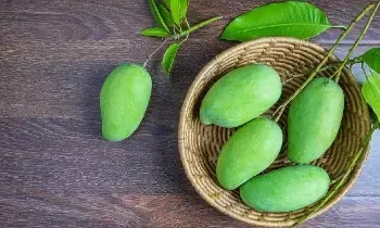 Raw Mango Benefits: పచ్చి మామిడితో బోలెడు లాభాలు.. వడదెబ్బ నుండి లివర్ ఆరోగ్యం వరకు అన్నీ సెట్.. Raw Mango Benefits: పచ్చి మామిడితో బోలెడు లాభాలు.. వడదెబ్బ నుండి లివర్ ఆరోగ్యం వరకు అన్నీ సెట్..
