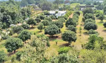 Assigned Lands in Aziznagar: అజీజ్నగర్లో ఎసైన్డ్ భూముల అనధికార అమ్మకాలు.. ప్రభుత్వ ఆస్తి పెద్దల చేతుల్లో! Assigned Lands in Aziznagar: అజీజ్నగర్లో ఎసైన్డ్ భూముల అనధికార అమ్మకాలు.. ప్రభుత్వ ఆస్తి పెద్దల చేతుల్లో!