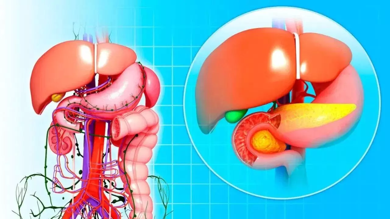 Protect Your Liver: మీ కాలేయం ప్రమాదంలో ఉందా? ఆరోగ్యంగా ఉండాలంటే ఈ అలవాట్లు మార్చుకోండి Protect Your Liver: మీ కాలేయం ప్రమాదంలో ఉందా? ఆరోగ్యంగా ఉండాలంటే ఈ అలవాట్లు మార్చుకోండి
