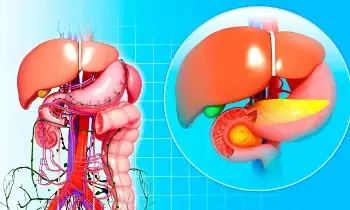 Protect Your Liver: మీ కాలేయం ప్రమాదంలో ఉందా? ఆరోగ్యంగా ఉండాలంటే ఈ అలవాట్లు మార్చుకోండి Protect Your Liver: మీ కాలేయం ప్రమాదంలో ఉందా? ఆరోగ్యంగా ఉండాలంటే ఈ అలవాట్లు మార్చుకోండి
