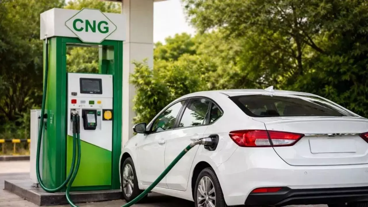 CNG Cars : మారుతి, టాటా మధ్య మైలేజీ వార్.. బెస్ట్ సీఎన్జీ కారు ఏదో తెలిస్తే షాక్ అవుతారు CNG Cars : మారుతి, టాటా మధ్య మైలేజీ వార్.. బెస్ట్ సీఎన్జీ కారు ఏదో తెలిస్తే షాక్ అవుతారు