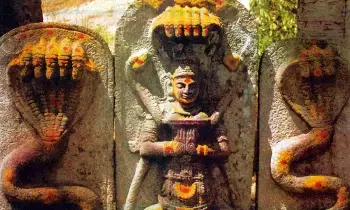Horoscope: జాతకంలో కాలసర్ప దోషం ఉందా? ఎదురయ్యే సమస్యలు, జ్యోతిష్య పరిహారాలు ఇవే.. Horoscope: జాతకంలో కాలసర్ప దోషం ఉందా? ఎదురయ్యే సమస్యలు, జ్యోతిష్య పరిహారాలు ఇవే..