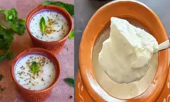 Curd: వేసవిలో  రోజుకు ఎంత పెరుగు తీసుకోవాలో తెలుసా?