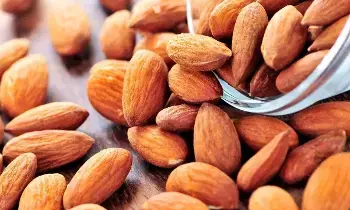 Eat Almonds: బాదం పప్పులను ఇలా తింటేనే ఎన్నో అద్భుతాలు.. మెరిసే చర్మం,పదునైన జ్ఞాపకశక్తి మీ సొంతం Eat Almonds: బాదం పప్పులను ఇలా తింటేనే ఎన్నో అద్భుతాలు.. మెరిసే చర్మం,పదునైన జ్ఞాపకశక్తి మీ సొంతం