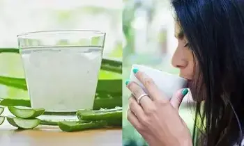 Drink Aloe Vera Juice in Summer: సమ్మర్ లో అలోవెరా జ్యూస్ తాగొచ్చా.? Drink Aloe Vera Juice in Summer: సమ్మర్ లో అలోవెరా జ్యూస్ తాగొచ్చా.?