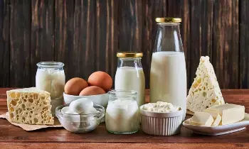 Avoid Milk and Curd for Two Weeks: రెండు వారాల పాటు పాలు, పెరుగు మానేస్తే ఏమవుతుంది? మీ శరీరంలో వచ్చే 4 ముఖ్యమైన మార్పులు ఇవే.. Avoid Milk and Curd for Two Weeks: రెండు వారాల పాటు పాలు, పెరుగు మానేస్తే ఏమవుతుంది? మీ శరీరంలో వచ్చే 4 ముఖ్యమైన మార్పులు ఇవే..