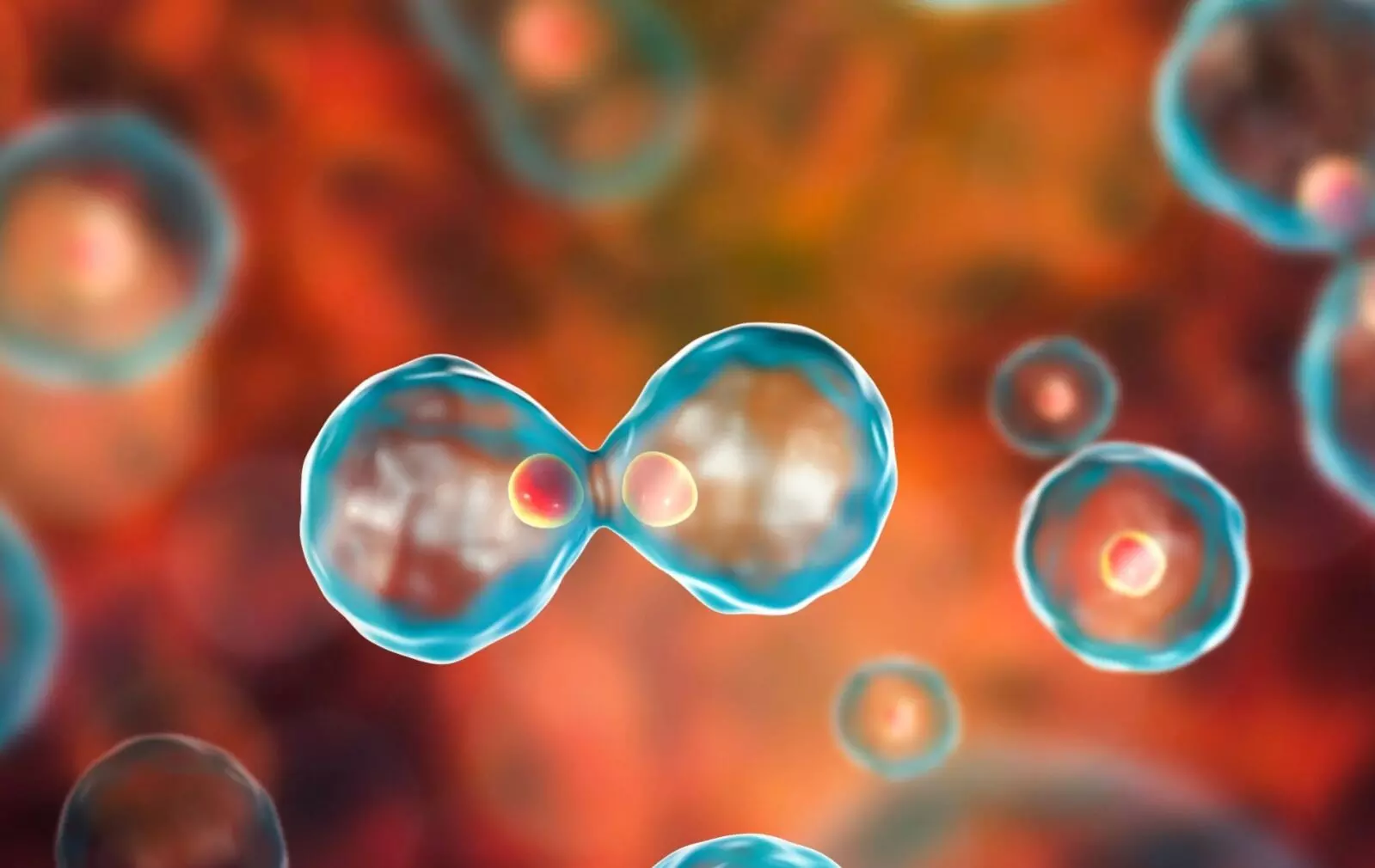 Want to Reduce Cancer Risk: క్యాన్సర్ ముప్పు నుంచి తప్పించుకోవాలా..? ఈ 4 జీవనశైలి మార్పులు తప్పనిసరి.. Want to Reduce Cancer Risk: క్యాన్సర్ ముప్పు నుంచి తప్పించుకోవాలా..? ఈ 4 జీవనశైలి మార్పులు తప్పనిసరి..