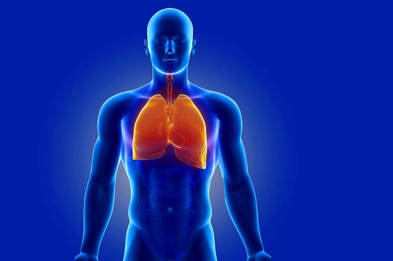 Lung Detox Drinks Really Cleanse Your Lungs: లంగ్ డిటాక్స్ డ్రింక్స్తో ఊపిరితిత్తులు శుభ్రపడతాయా? నిపుణులు ఏమంటున్నారు? Lung Detox Drinks Really Cleanse Your Lungs: లంగ్ డిటాక్స్ డ్రింక్స్తో ఊపిరితిత్తులు శుభ్రపడతాయా? నిపుణులు ఏమంటున్నారు?