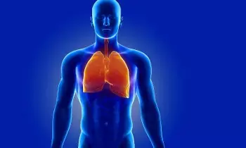 Lung Detox Drinks Really Cleanse Your Lungs: లంగ్ డిటాక్స్ డ్రింక్స్తో ఊపిరితిత్తులు శుభ్రపడతాయా? నిపుణులు ఏమంటున్నారు? Lung Detox Drinks Really Cleanse Your Lungs: లంగ్ డిటాక్స్ డ్రింక్స్తో ఊపిరితిత్తులు శుభ్రపడతాయా? నిపుణులు ఏమంటున్నారు?