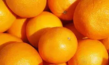 Orange May Help Control Fatty Liver Disease: ఫ్యాటీ లివర్ సమస్యకు చెక్ పెట్టే నారింజ.. తాజా అధ్యయనంలో ఆసక్తికర విషయాలు.. Orange May Help Control Fatty Liver Disease: ఫ్యాటీ లివర్ సమస్యకు చెక్ పెట్టే నారింజ.. తాజా అధ్యయనంలో ఆసక్తికర విషయాలు..