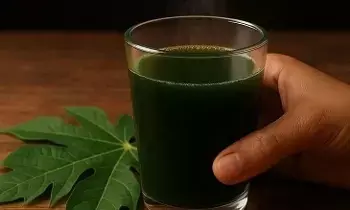 The Real Remedy for Hair Growth: జుట్టు పెరుగుదలకు ఇదే అసలైన మందు.. సింపుల్ రెమెడీ మీకోసమే! The Real Remedy for Hair Growth: జుట్టు పెరుగుదలకు ఇదే అసలైన మందు.. సింపుల్ రెమెడీ మీకోసమే!