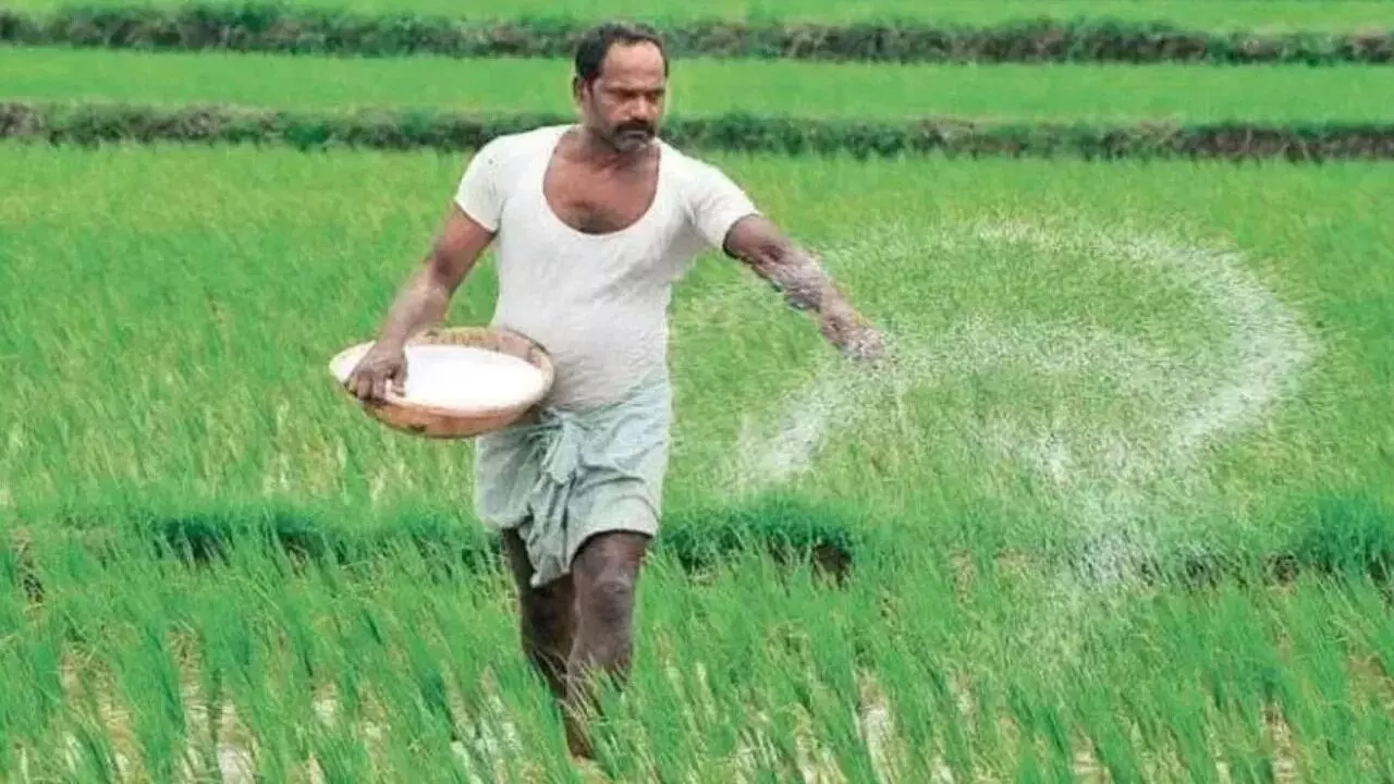 Fertilizer Subsidy : రైతన్నకు సర్కార్ భరోసా.. ఎరువుల సబ్సిడీ కోసం అదనంగా మరో రూ.40 వేల కోట్లు Fertilizer Subsidy : రైతన్నకు సర్కార్ భరోసా.. ఎరువుల సబ్సిడీ కోసం అదనంగా మరో రూ.40 వేల కోట్లు
