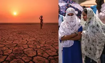 Rising Heatwaves Increase Risk of Stroke and Brain Disorders: తీవ్రమవుతున్న వేడిగాలులతో పక్షవాతం, మెదడు వ్యాధుల ముప్పు.. ఈ జాగ్రత్తలు తప్పనిసరి Rising Heatwaves Increase Risk of Stroke and Brain Disorders: తీవ్రమవుతున్న వేడిగాలులతో పక్షవాతం, మెదడు వ్యాధుల ముప్పు.. ఈ జాగ్రత్తలు తప్పనిసరి