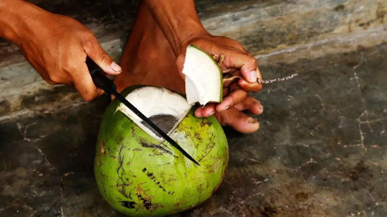 People with Kidney Problems Drink Coconut Water: కిడ్నీ సమస్యలు ఉన్నవారు కొబ్బరి నీళ్లు తాగొచ్చా? నిపుణులు ఏమంటున్నారు.. People with Kidney Problems Drink Coconut Water: కిడ్నీ సమస్యలు ఉన్నవారు కొబ్బరి నీళ్లు తాగొచ్చా? నిపుణులు ఏమంటున్నారు..