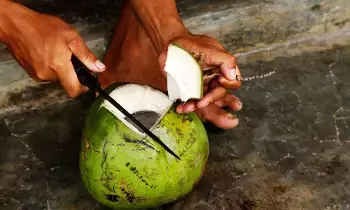 People with Kidney Problems Drink Coconut Water: కిడ్నీ సమస్యలు ఉన్నవారు కొబ్బరి నీళ్లు తాగొచ్చా? నిపుణులు ఏమంటున్నారు..