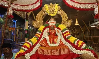 Vasanthotsavams at Sri Padmavathi Ammavari Temple: శ్రీ పద్మావతి అమ్మవారి వసంతోత్సవాలకు అంకురార్పణ