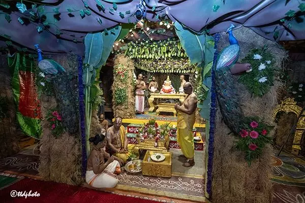 Sri Padmavathi Ammavari Temple: వైభవంగా ప్రారంభమైన శ్రీ పద్మావతి అమ్మవారి వసంతోత్సవాలు Sri Padmavathi Ammavari Temple: వైభవంగా ప్రారంభమైన శ్రీ పద్మావతి అమ్మవారి వసంతోత్సవాలు