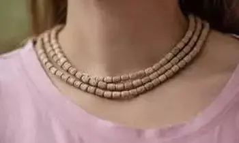 Wearing a Tulsi Mala: తులసి మాల ధారణ: ఆధ్యాత్మిక పరిమళం.. ధరించేముందు ఈ విషయాలు తెలుసుకోండి.. Wearing a Tulsi Mala: తులసి మాల ధారణ: ఆధ్యాత్మిక పరిమళం.. ధరించేముందు ఈ విషయాలు తెలుసుకోండి..