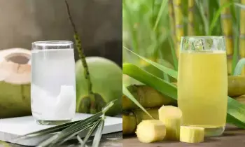 Coconut Water vs Sugarcane Juice: కొబ్బరి నీళ్లు vs చెరకు రసం.. - సమ్మర్ బెస్ట్ డ్రింక్ ఏది? Coconut Water vs Sugarcane Juice: కొబ్బరి నీళ్లు vs చెరకు రసం.. - సమ్మర్ బెస్ట్ డ్రింక్ ఏది?