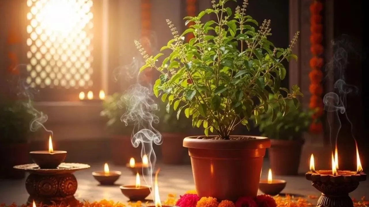 Lighting a Lamp Near Tulsi Plant: తులసి కోట దగ్గర దీపం వెలిగిస్తున్నారా? ఈ నియమాలు పాటించకపోతే లక్ష్మీదేవి అనుగ్రహం దక్కదు.. Lighting a Lamp Near Tulsi Plant: తులసి కోట దగ్గర దీపం వెలిగిస్తున్నారా? ఈ నియమాలు పాటించకపోతే లక్ష్మీదేవి అనుగ్రహం దక్కదు..