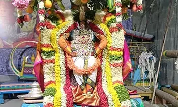 Sri Vedanarayana Swamy Temple: కల్పవృక్ష వాహనంపై పాండురంగ స్వామి అలంకారంలో శ్రీ వేదనారాయణ స్వామి అనుగ్రహం