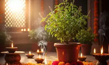 Lighting a Lamp Near Tulsi Plant: తులసి కోట దగ్గర దీపం వెలిగిస్తున్నారా? ఈ నియమాలు పాటించకపోతే లక్ష్మీదేవి అనుగ్రహం దక్కదు..